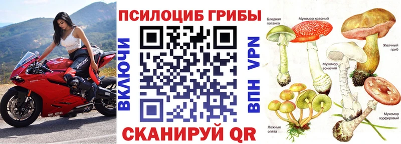 Псилоцибиновые грибы прущие грибы Урай